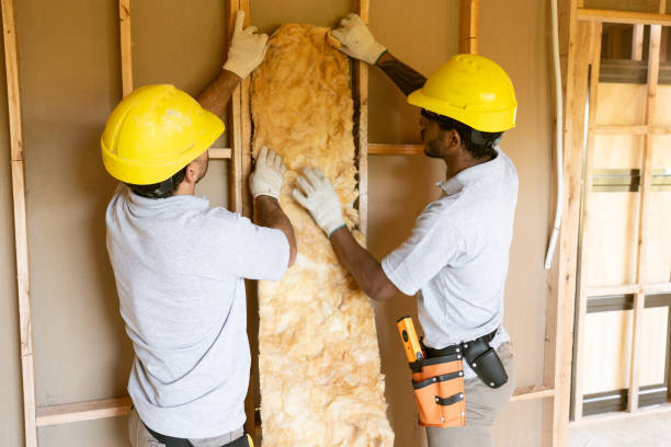Best Insulation Removal  in West Mifflin, PA